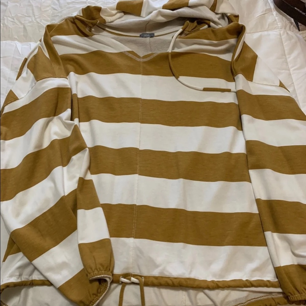 Aerie hoodie
